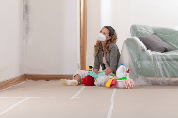Reliable Mold Testing contractor in Round Hill, VA by WQB Mold Removal