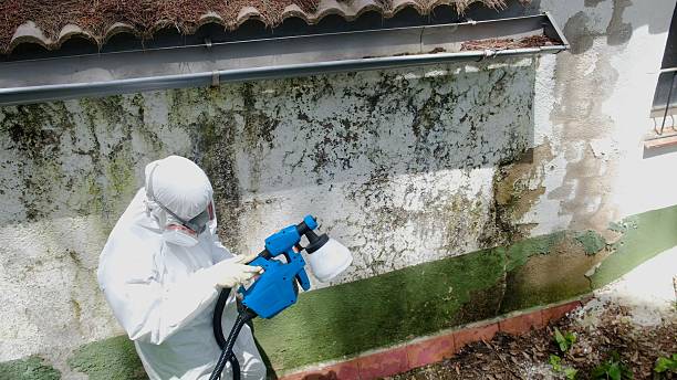 Top rated local Mold Testing specialists in Round Hill, VA